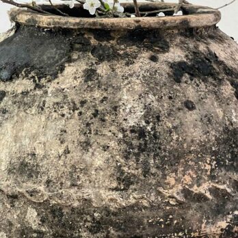 Antique Mediterranean Urn Savannah