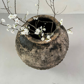 Antique Mediterranean Urn Savannah
