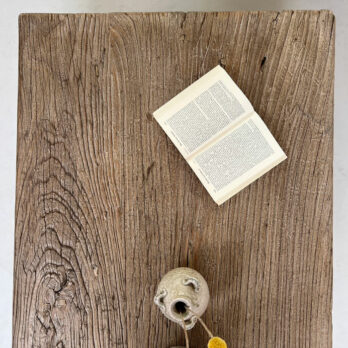 Antique door coffee table | Genevieve