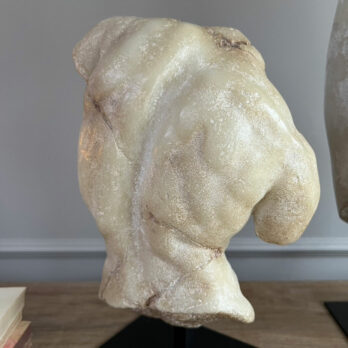 Apollo Decorative Torso SculptureApollo Decorative Torso Sculpture