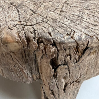 Low trunk coffee table | Anastasia