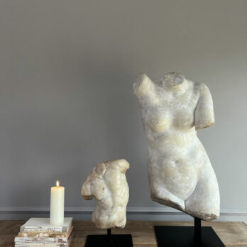 Apollo Decorative Torso Sculpture