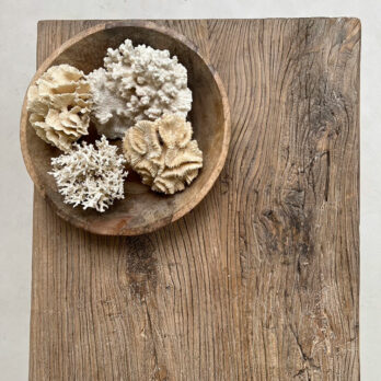 Antique door coffee table | Genevieve