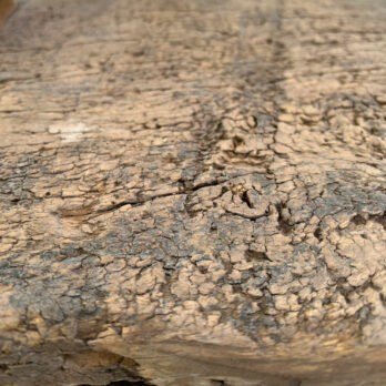 Antique Rustic Coffee Table Harland