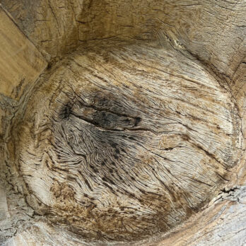 Ancient Pale Wood Bowl with Handle
