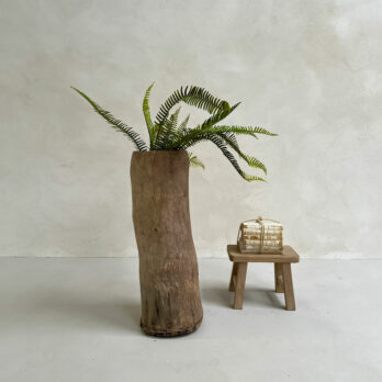 Tree Trunk No:02