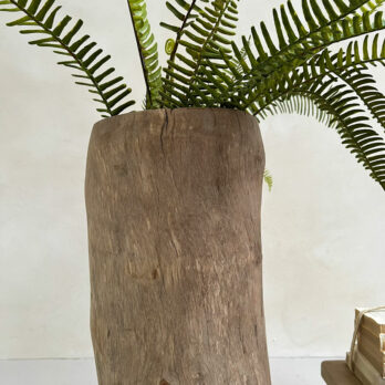 Tree Trunk No:02