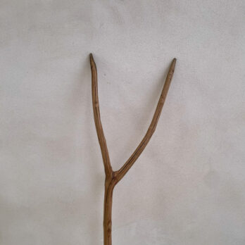 Antique Shepherds Crook No.01